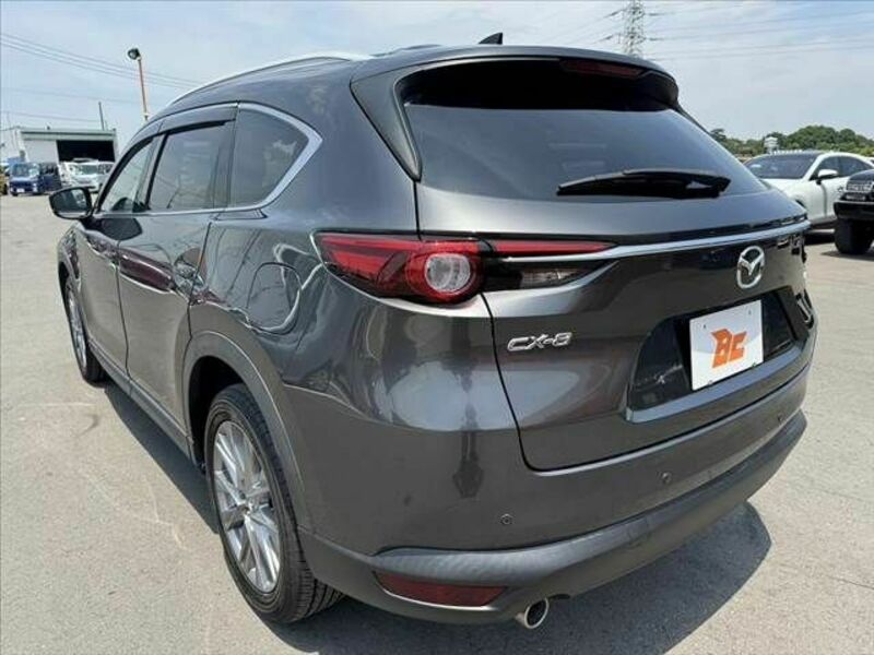 CX-8