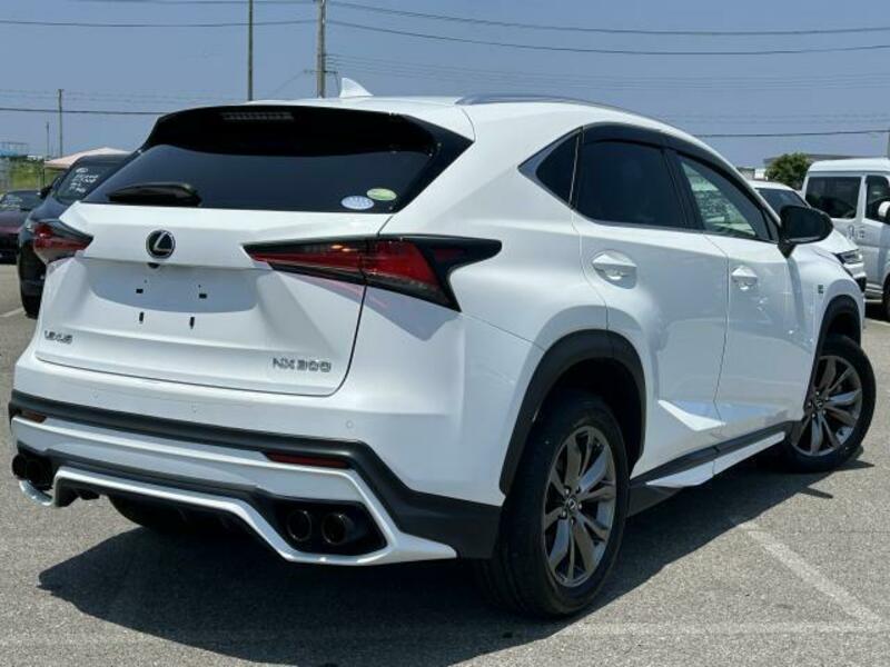 NX