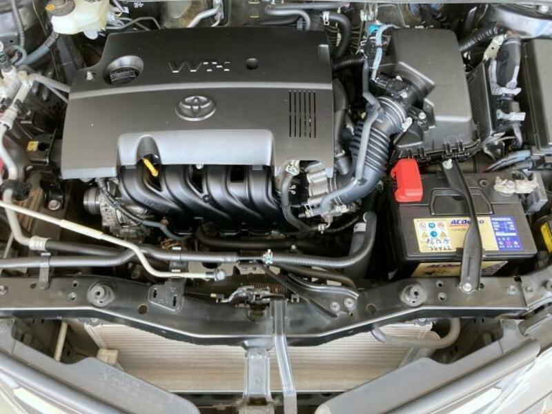 AURIS
