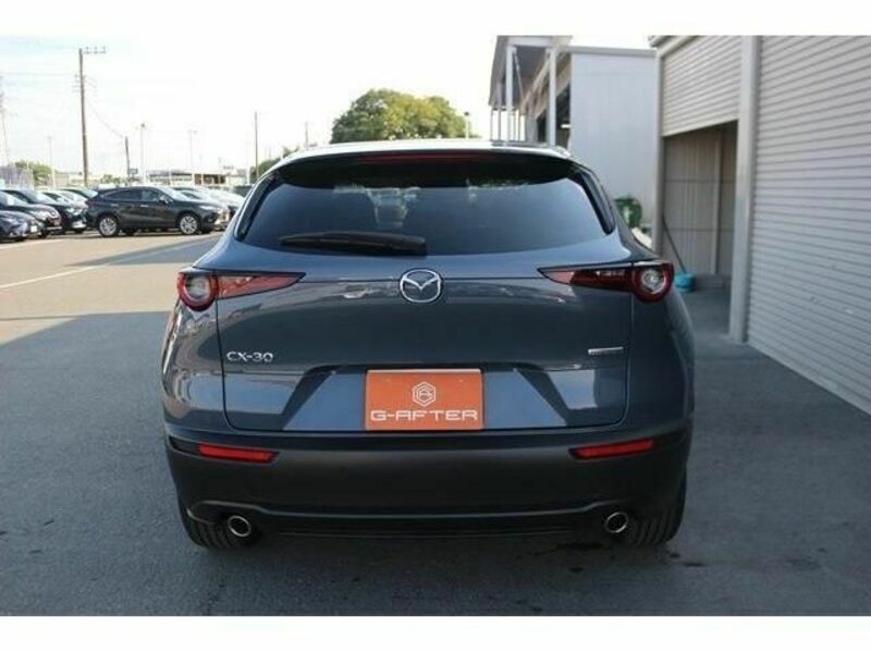CX-30