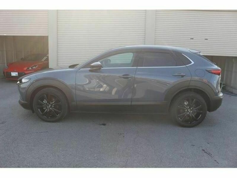 CX-30