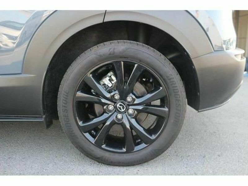 CX-30