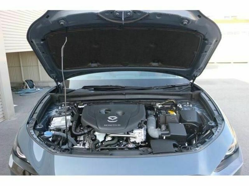 CX-30