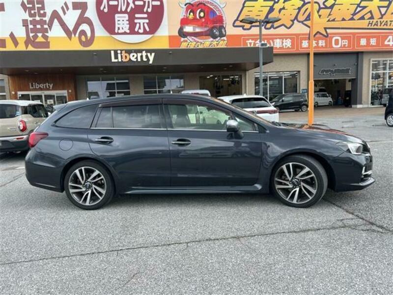 LEVORG