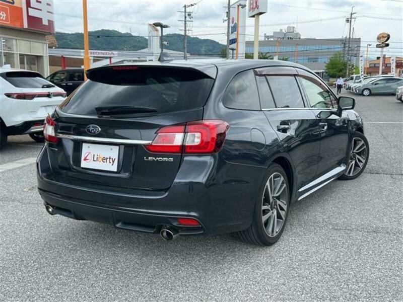 LEVORG
