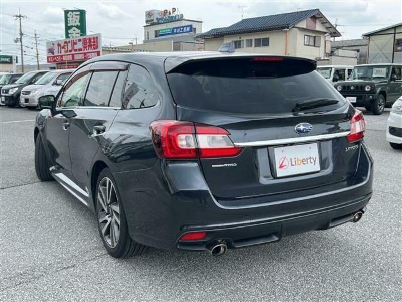 LEVORG
