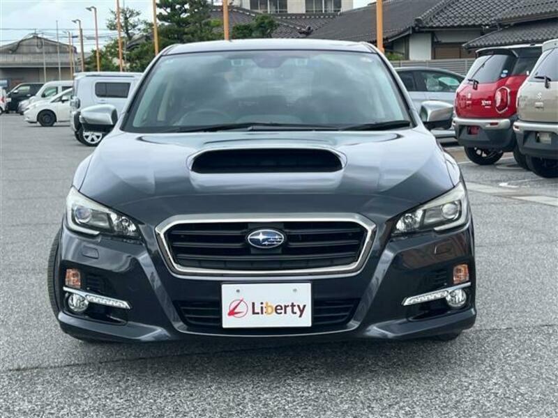 LEVORG