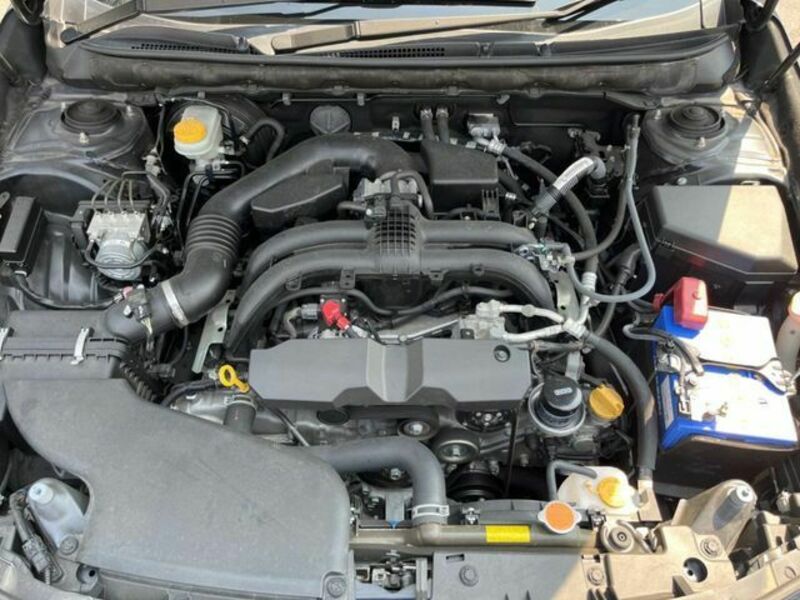 LEGACY B4