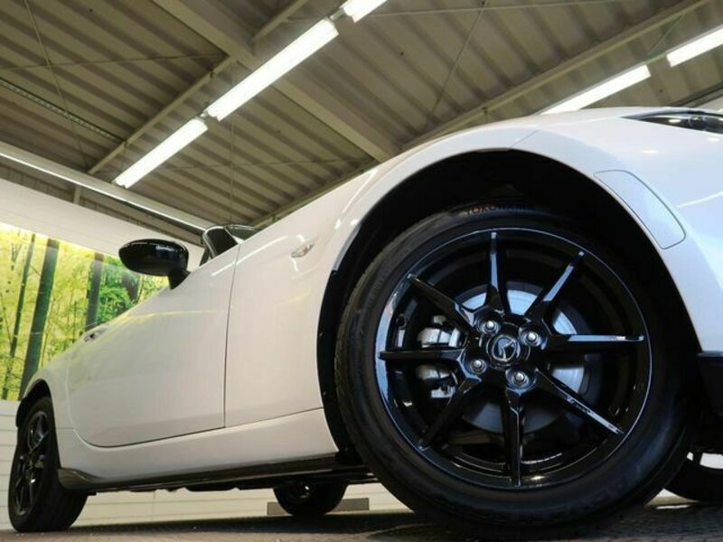 ROADSTER