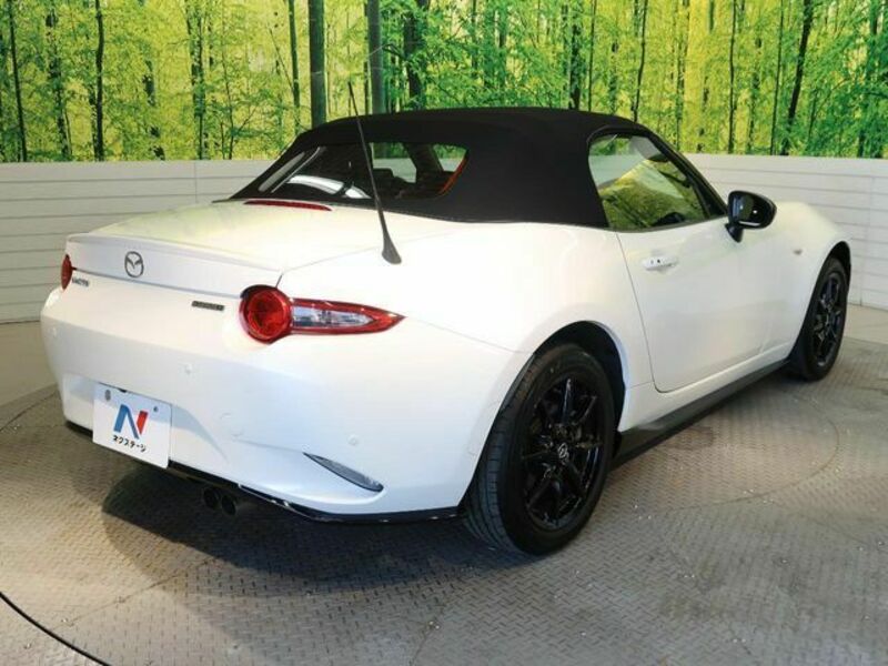ROADSTER
