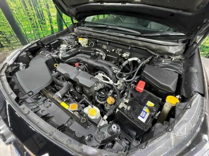 LEGACY OUTBACK