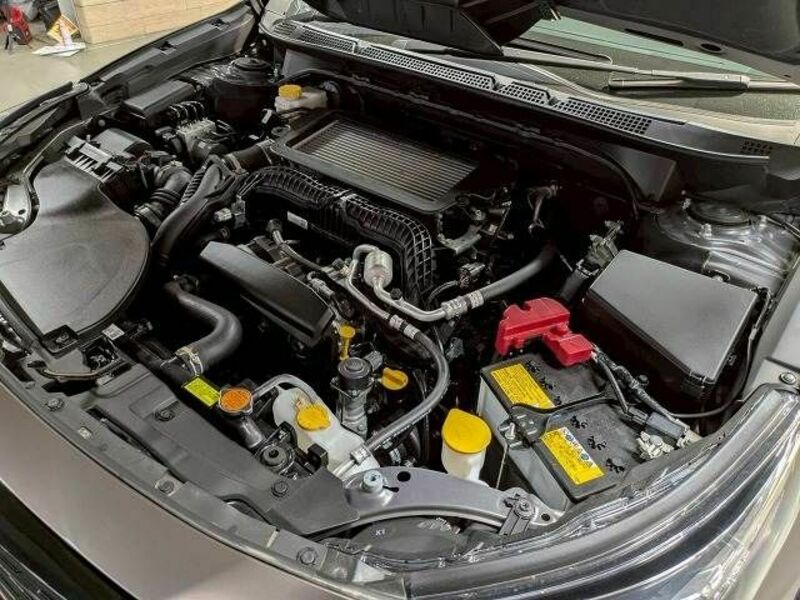 LEGACY OUTBACK