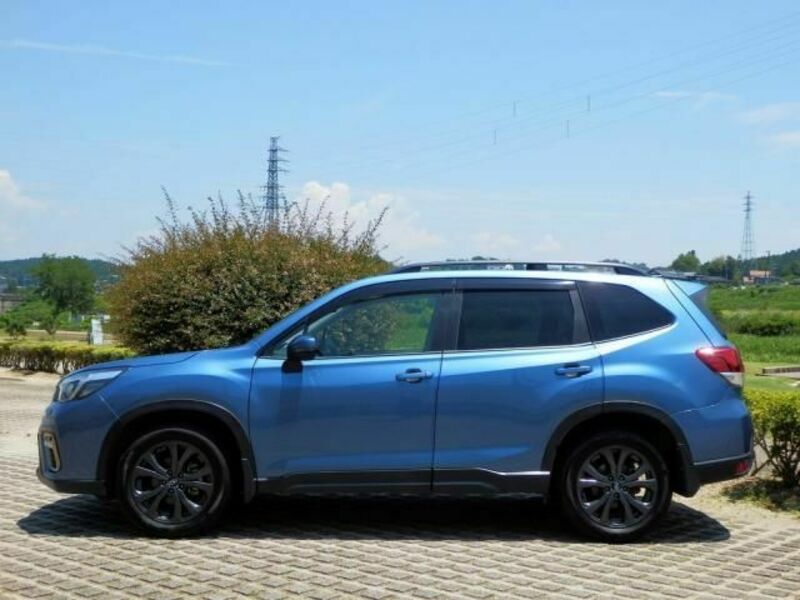 FORESTER