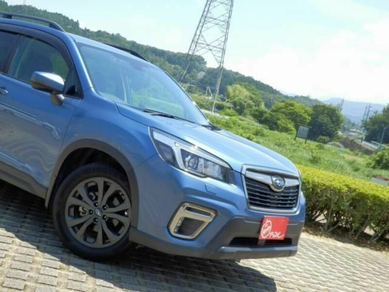 FORESTER