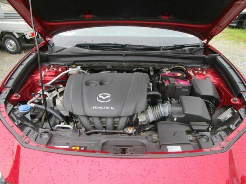 CX-30