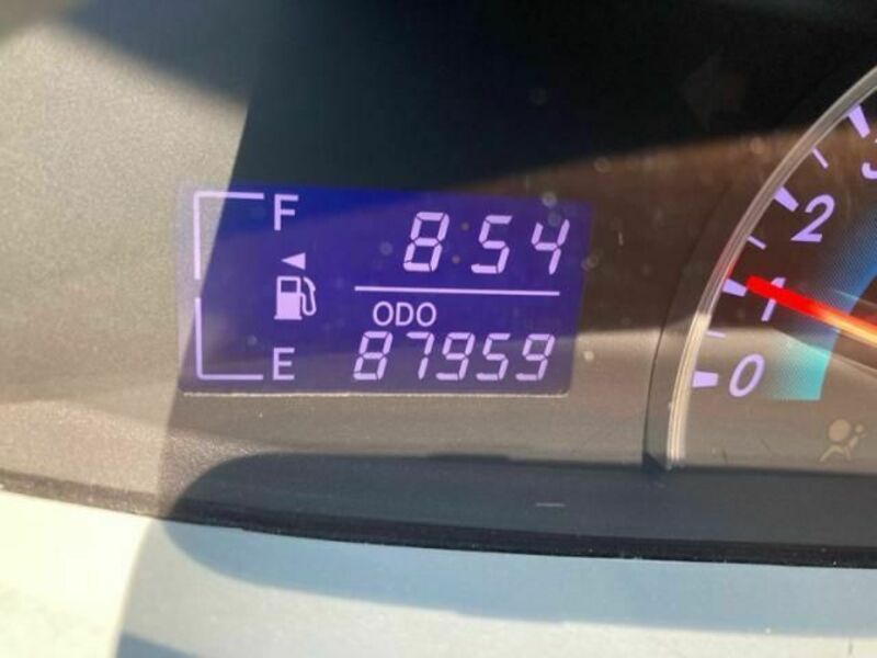 BELTA