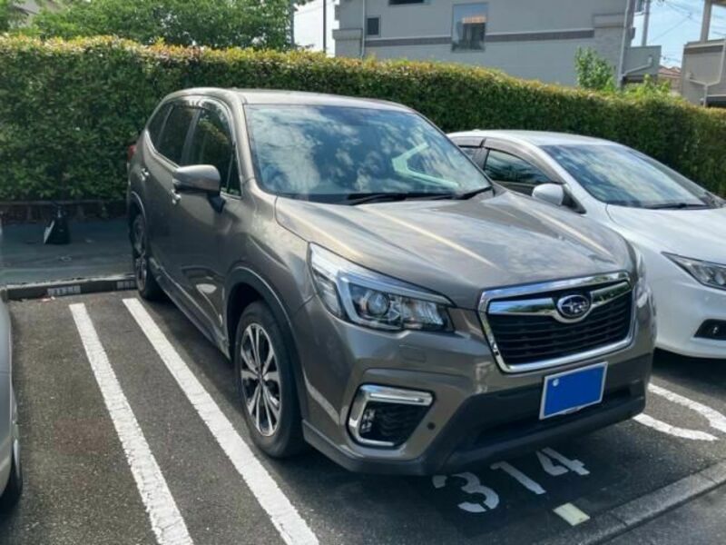 FORESTER