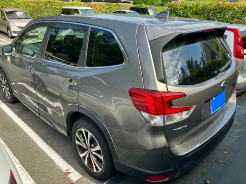 FORESTER