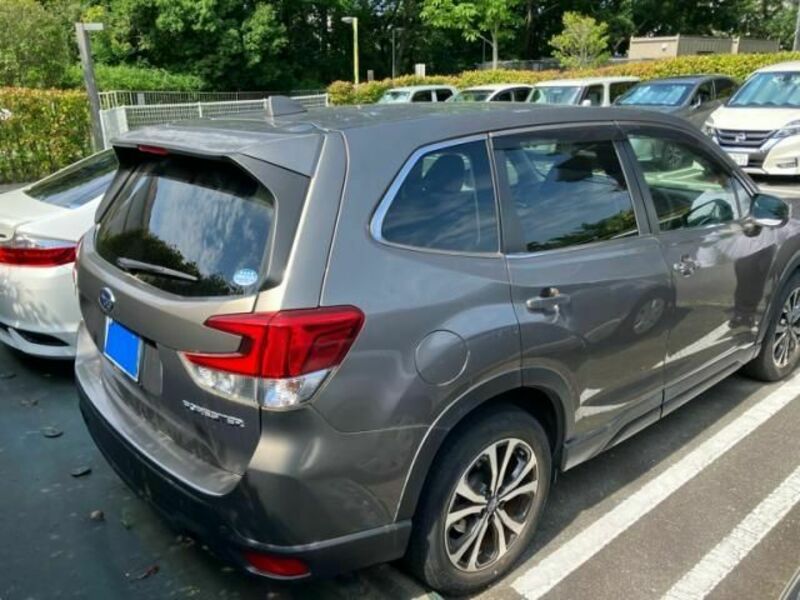 FORESTER
