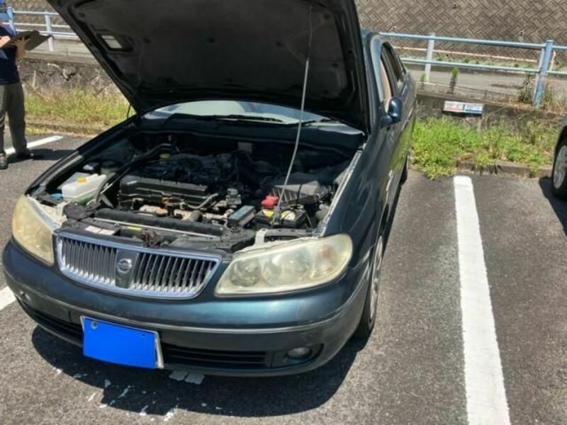 BLUEBIRD SYLPHY