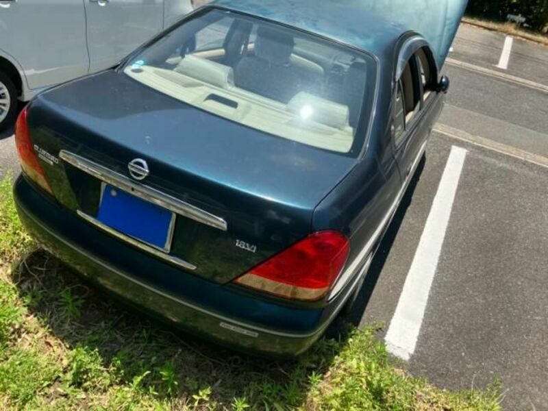 BLUEBIRD SYLPHY