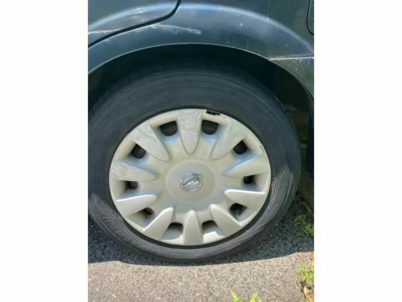 BLUEBIRD SYLPHY