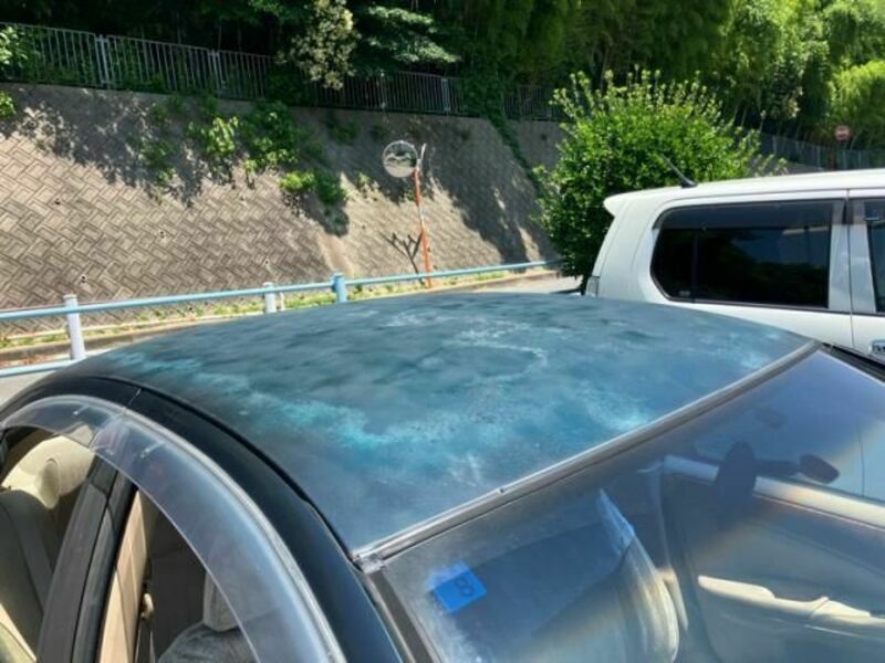 BLUEBIRD SYLPHY