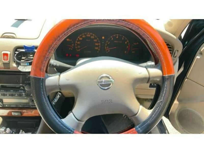 BLUEBIRD SYLPHY