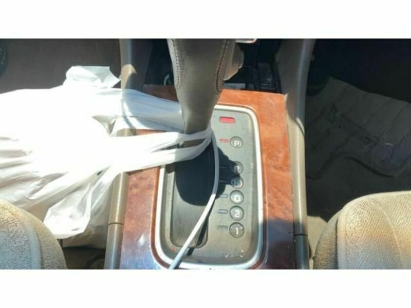 BLUEBIRD SYLPHY