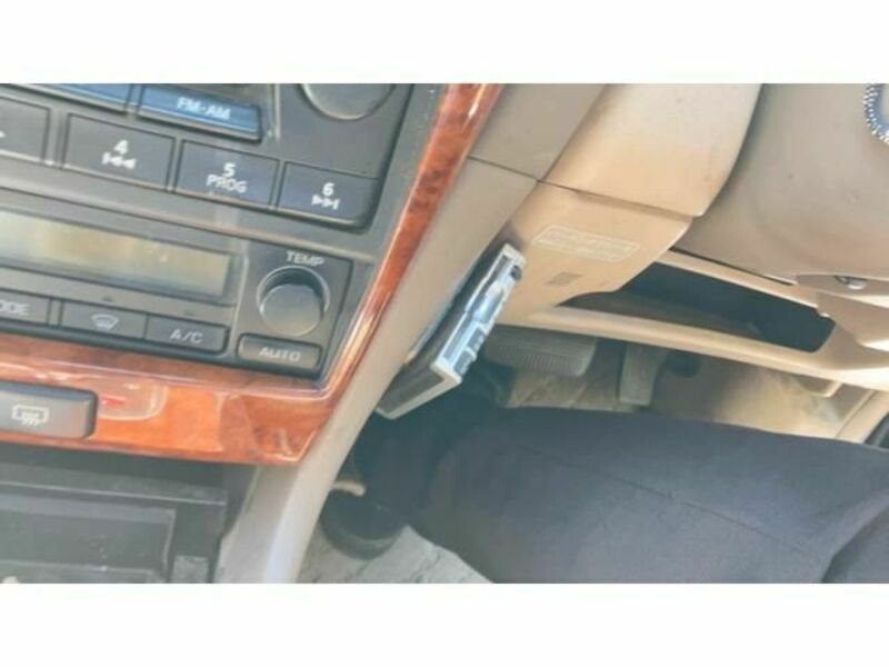 BLUEBIRD SYLPHY