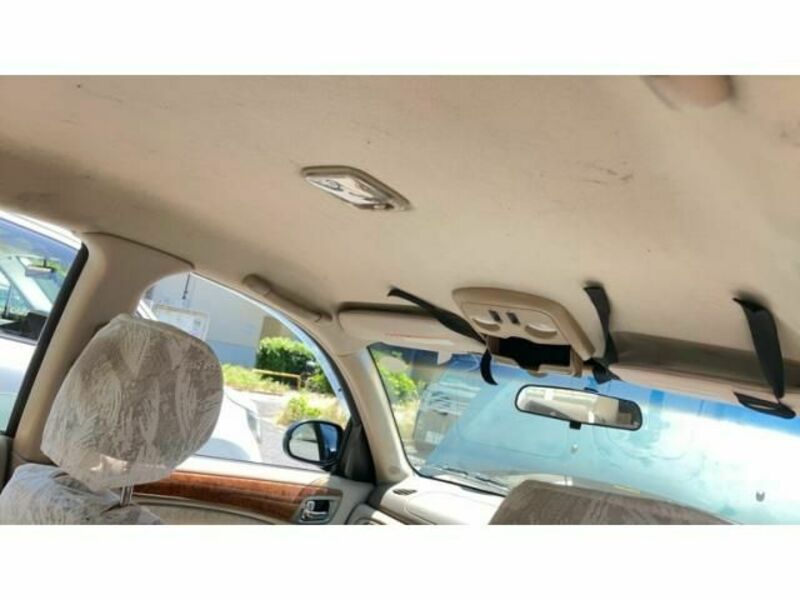 BLUEBIRD SYLPHY