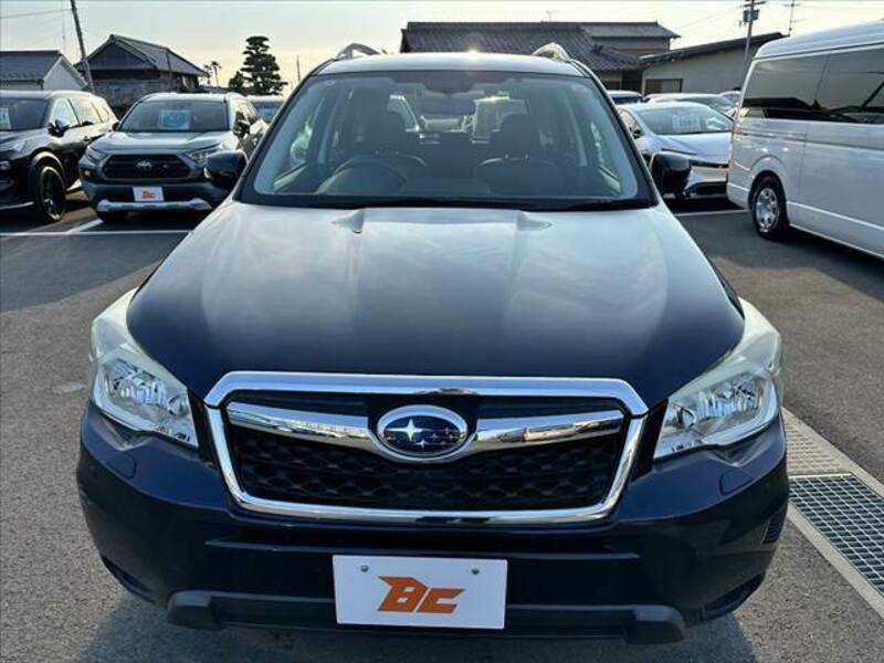 FORESTER