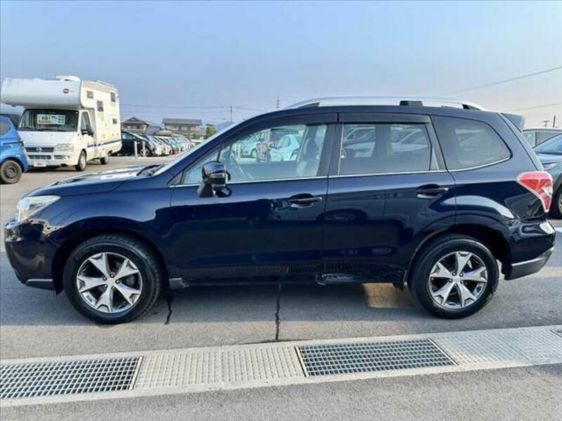 FORESTER