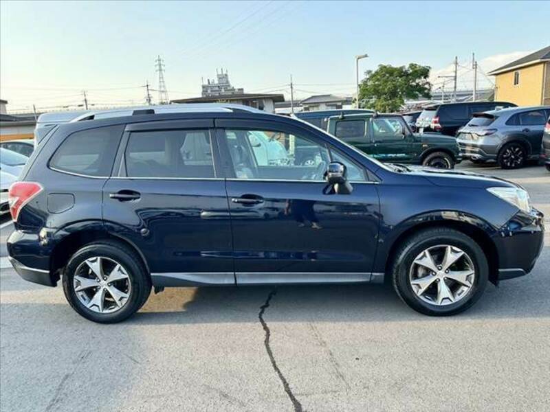 FORESTER