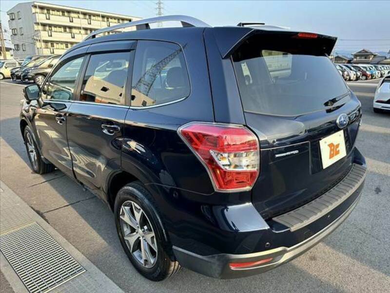 FORESTER