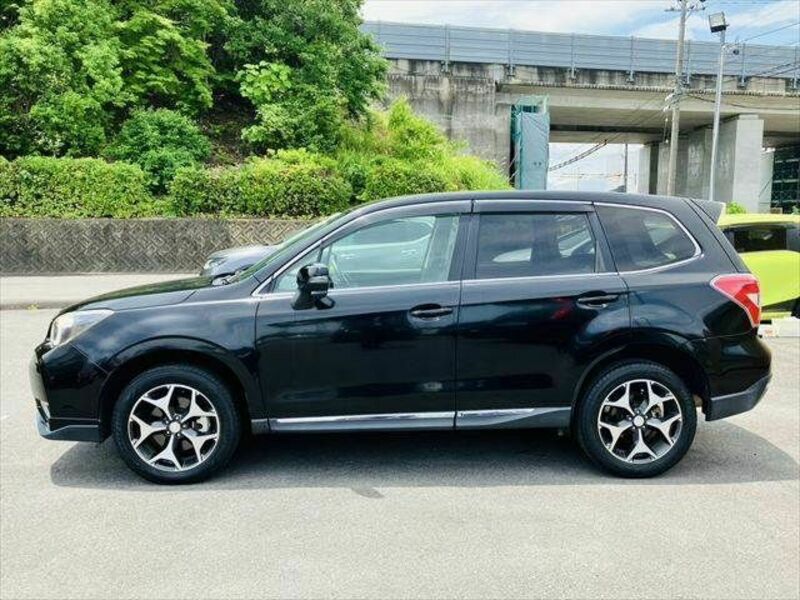 FORESTER