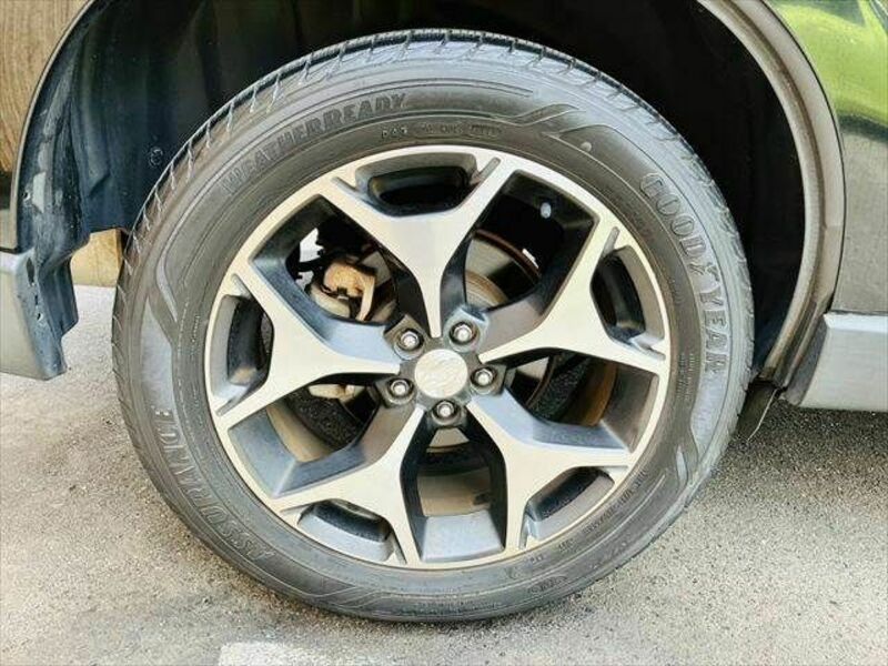 FORESTER
