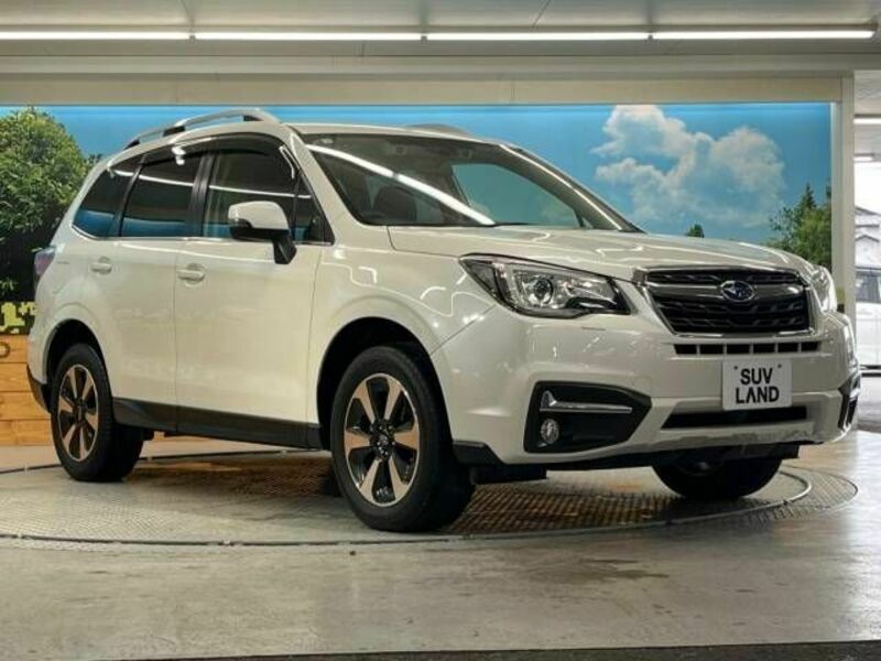 FORESTER