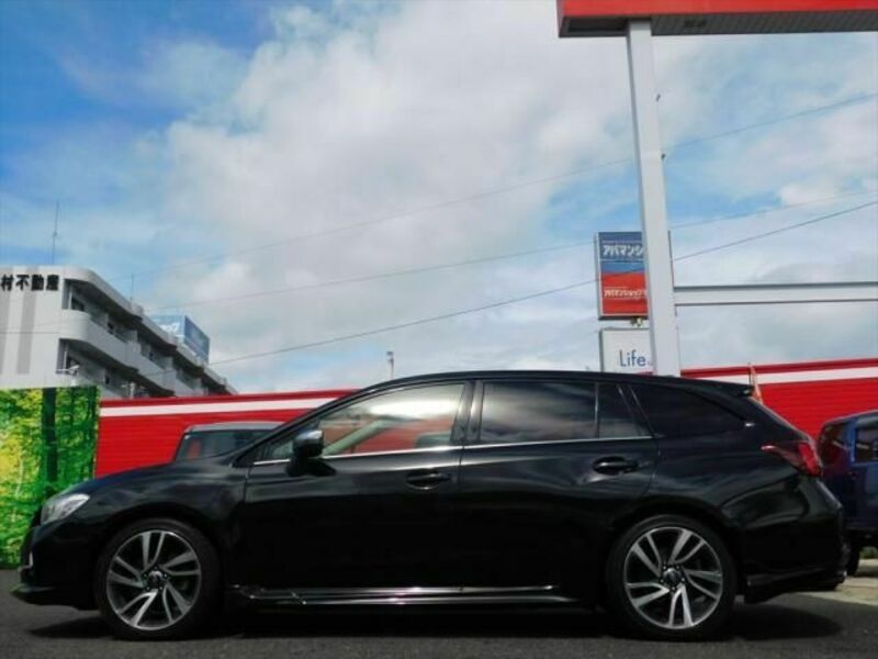 LEVORG