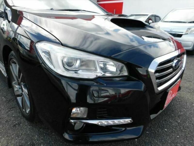 LEVORG