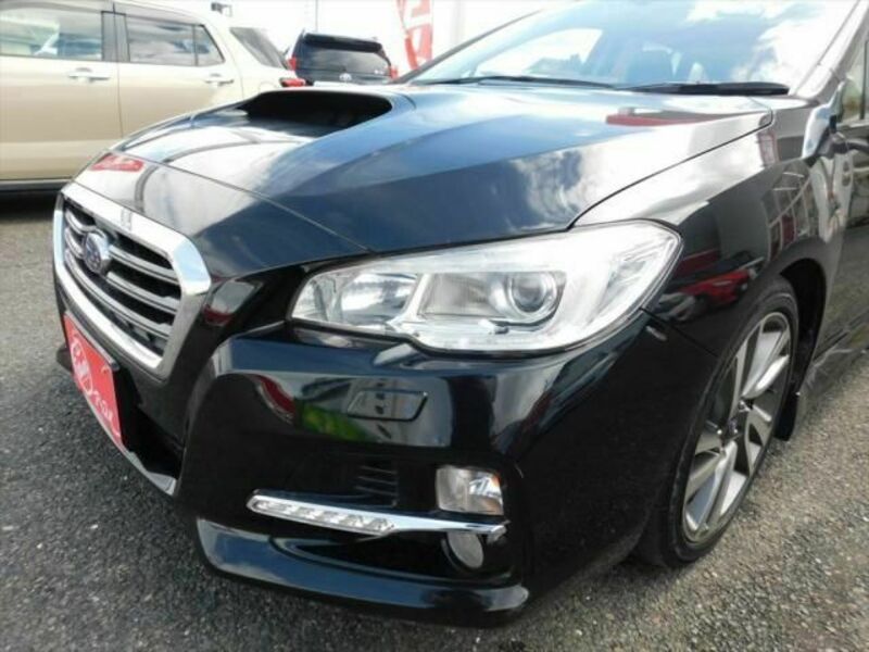 LEVORG