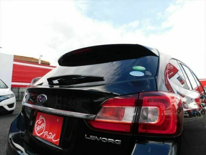 LEVORG