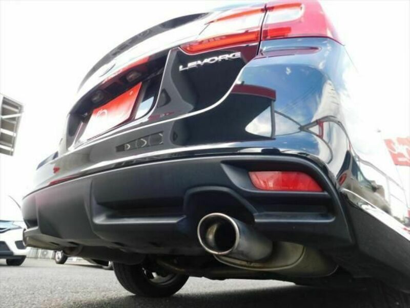 LEVORG