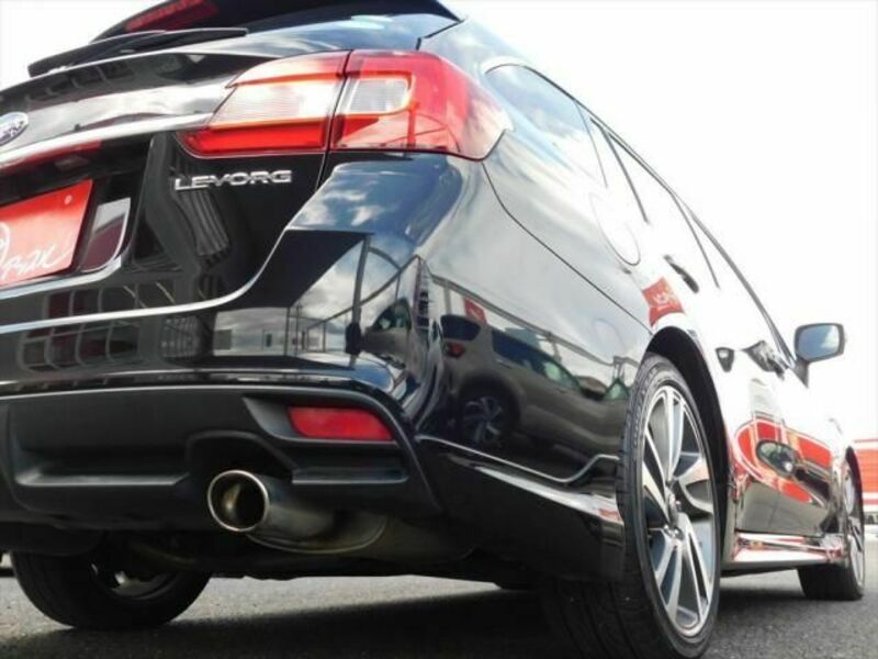 LEVORG