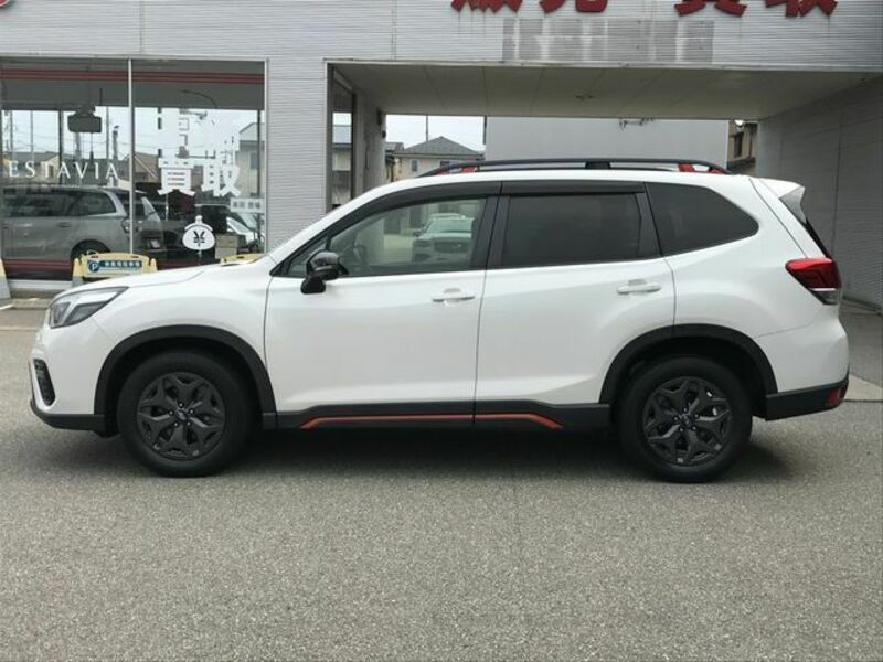 FORESTER