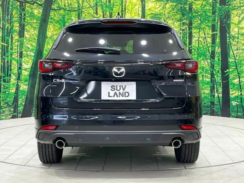 CX-8