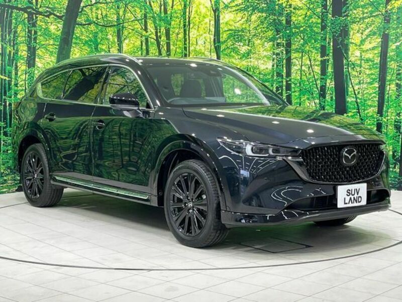 CX-8