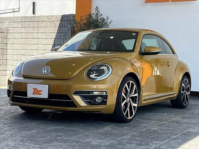 THE BEETLE