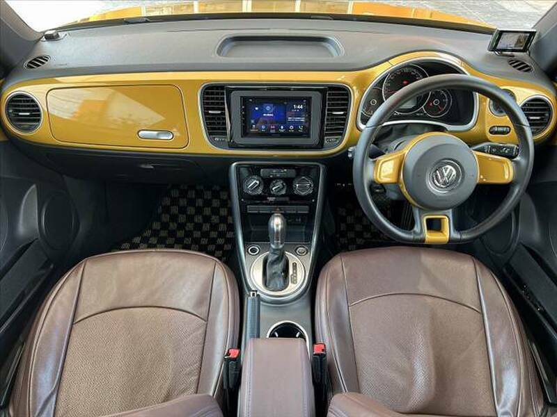 THE BEETLE