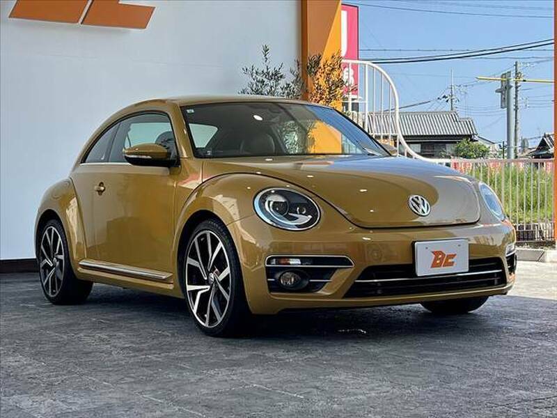 THE BEETLE